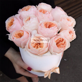 Пионовидные розы в коробочке "Джульетта"